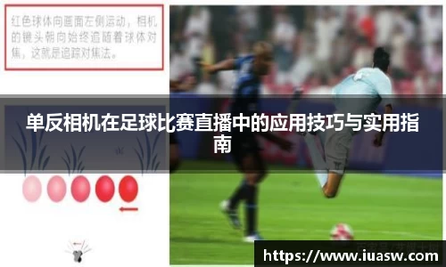 平博pinnacleAPP